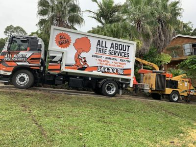 Tree Service Gold Coast