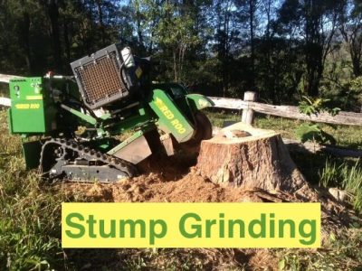 stump grinding