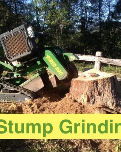 stump grinding