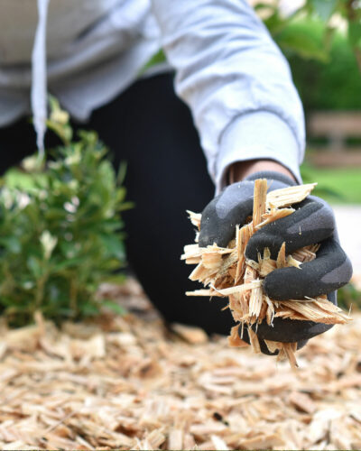 Gold Coast mulch